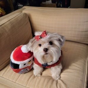 Meet your Posher, Jocelyn